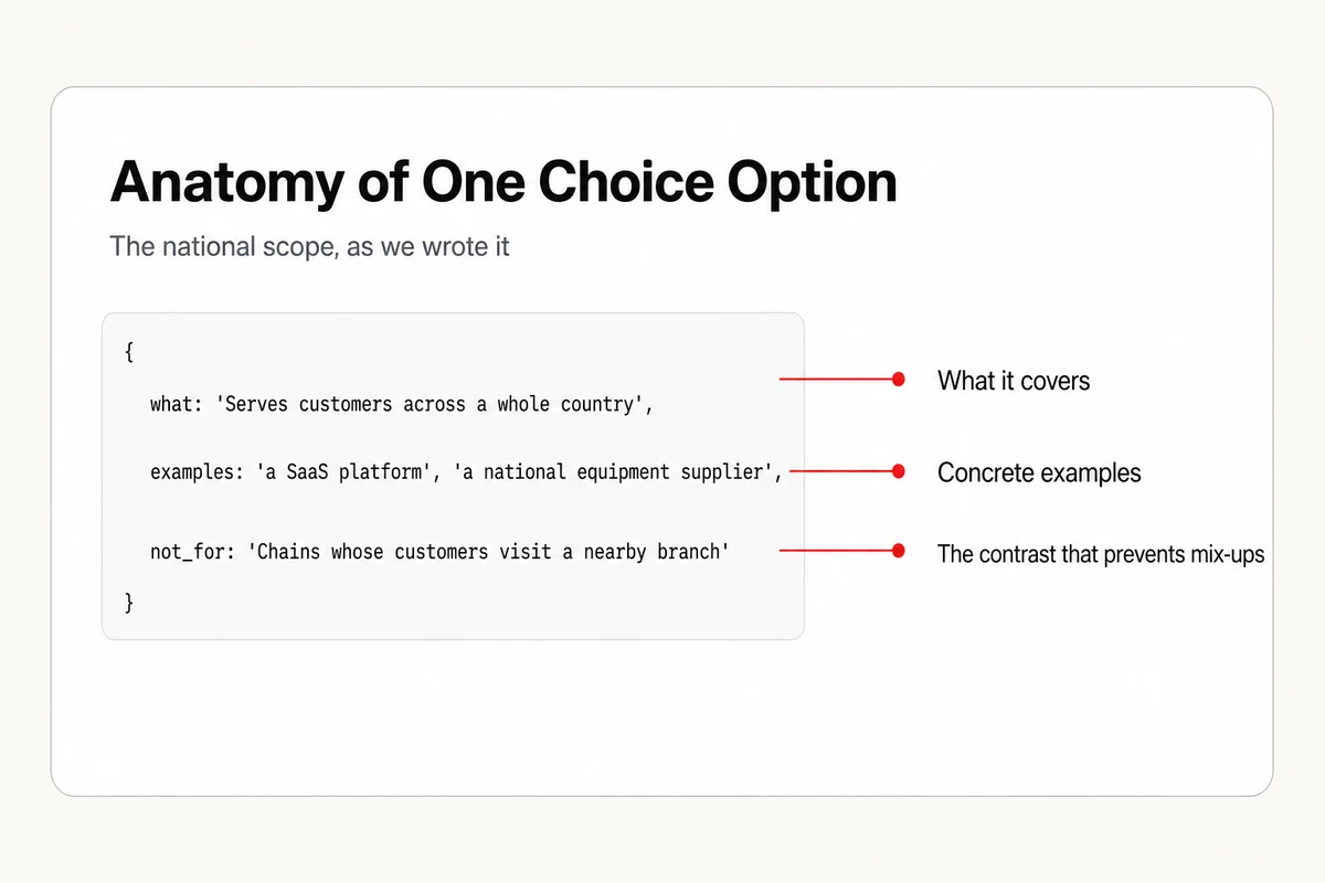 One Choice option for the national scope, annotated with its three parts, what it covers, examples, and what it excludes