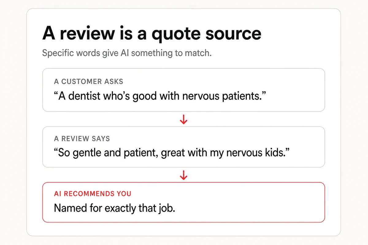 How specific review text gets you recommended, a customer asks for a dentist good with nervous patients, a matching review makes AI name you.