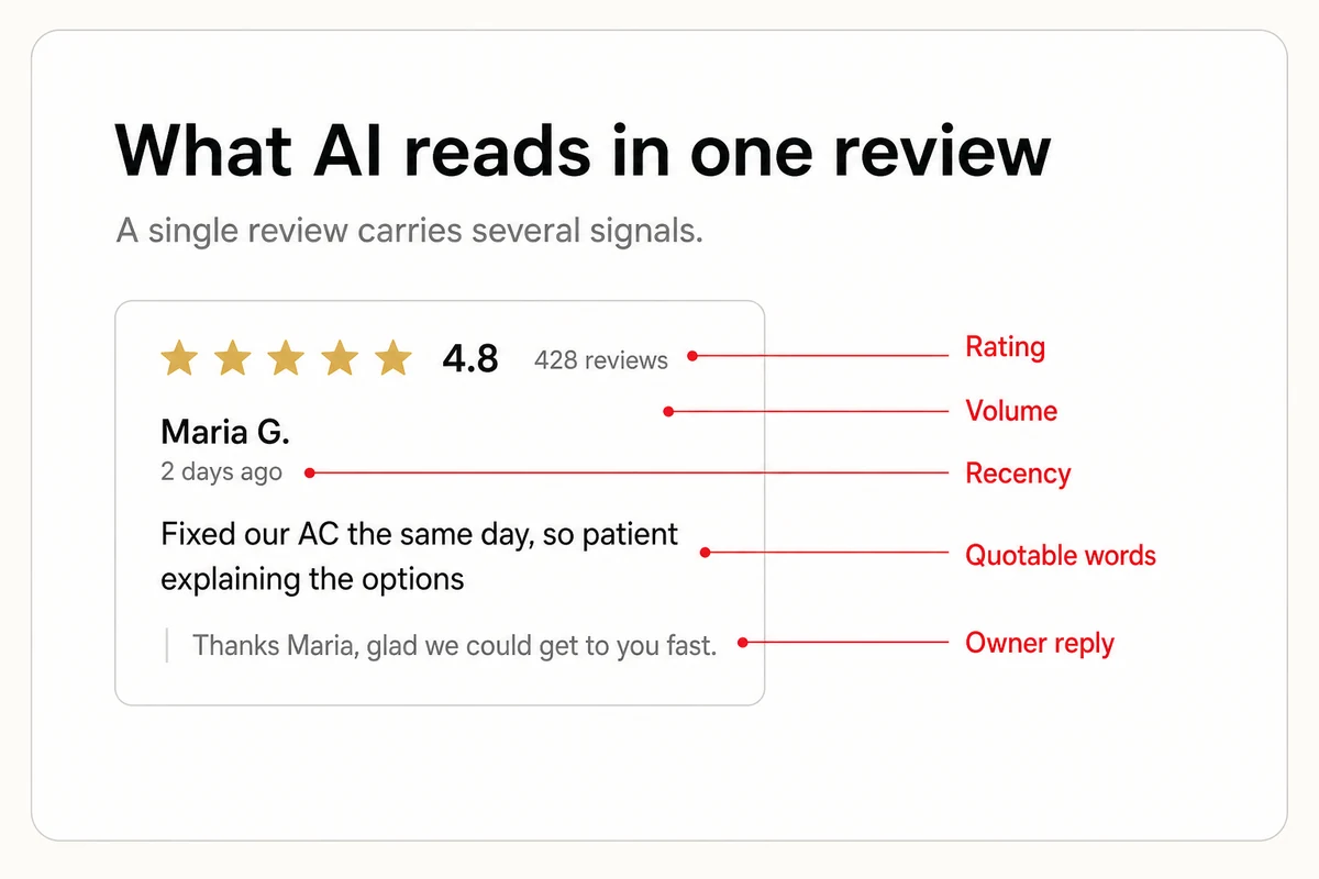 A customer review annotated to show the signals AI reads, the star rating, the volume, the recency, the owner reply, and quotable words.